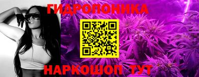 стаф Бийск