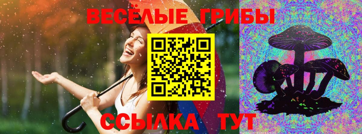 дарнет шоп  Галлюциногенные грибы ЛСД  Вход с VPN  Псилоцибиновые грибы Magic Shrooms  Кириши 